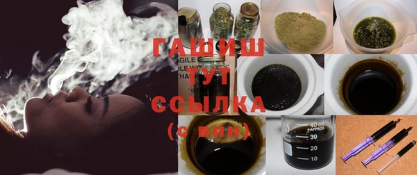 индика Богородск