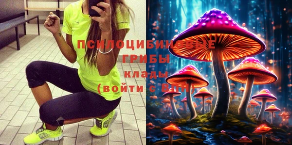 гидропоника Бронницы