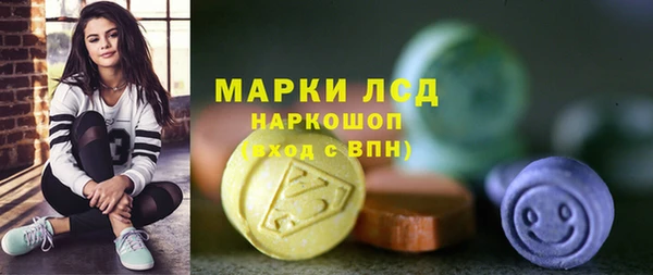 индика Богородск