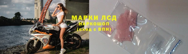 индика Богородск
