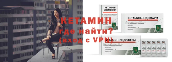 индика Богородск