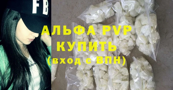индика Богородск