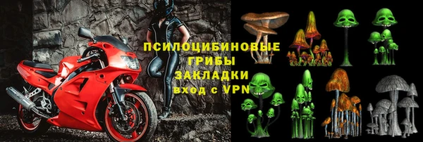 индика Богородск