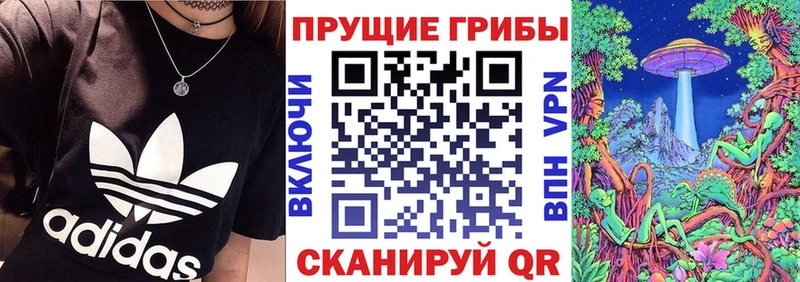 цена наркотик  omg ONION  Псилоцибиновые грибы MAGIC MUSHROOMS  Карпинск 